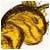 Snaxiaexina